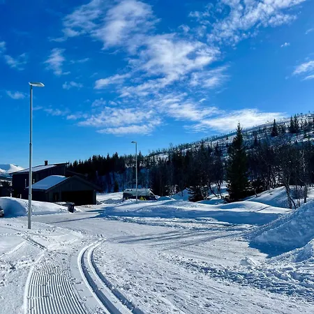 Artic * Tromso