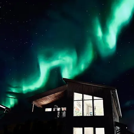 Arctic
