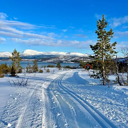 Artic Villa