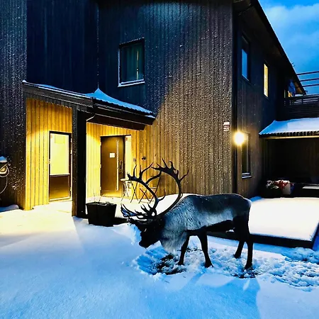 Arctic *